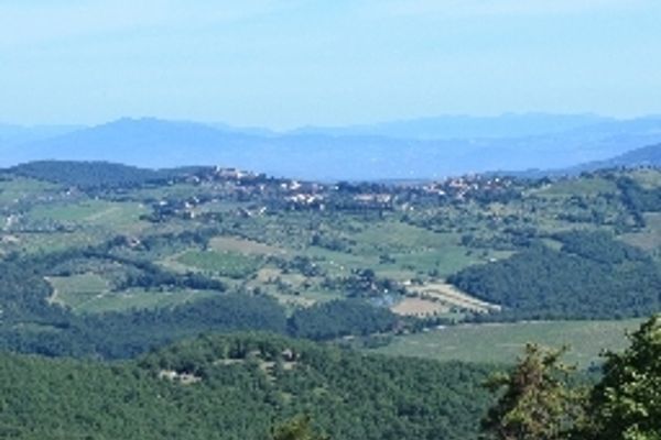 Villa Sant'Uberto Country Inn (Radda in Chianti)